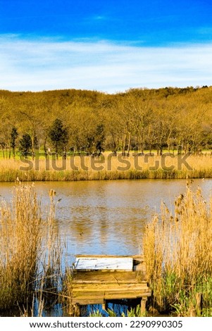 Vertical landscape photo. Old wooden pier on the river bank. Yellowed trees forest. Blue sky. No people, nobody. Life in nature idea concept. Peace, quiet, calm.
