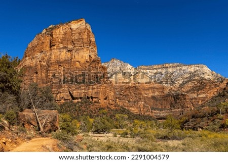 Landscape in Zion National Park in Utah, USA.