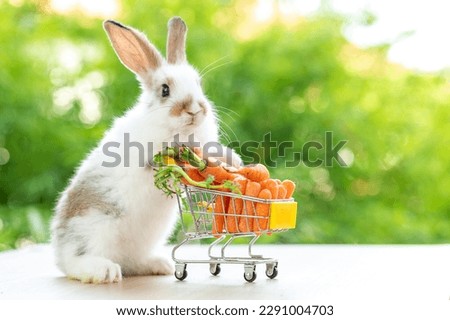 Lovely bunny easter fluffy baby white rabbit love to eat carrot is holding shopping cart full of green vegetable, carrots, on nature background. Delicious healthy green good food. Healthy lifestyle.