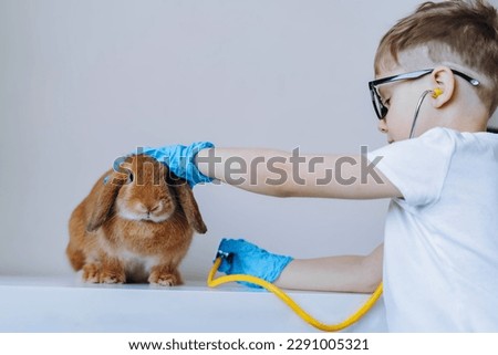 cute little boy playing vet stethoscoping a rabbit. High quality photo