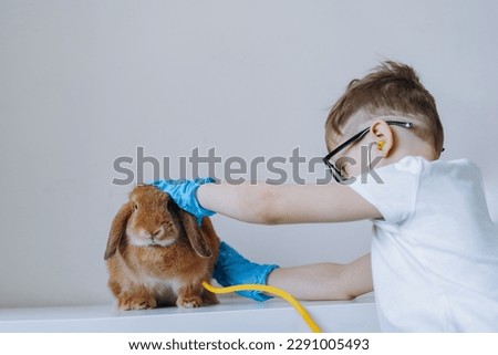 cute little boy playing vet stethoscoping a rabbit. High quality photo