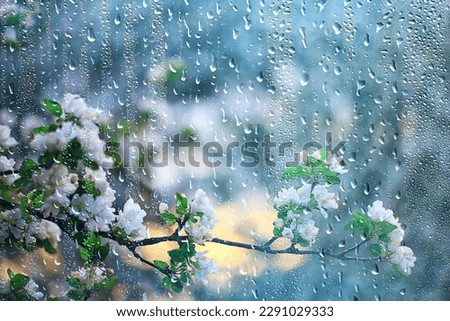spring rain in blooming garden, concept freshness nature weather seasonal background