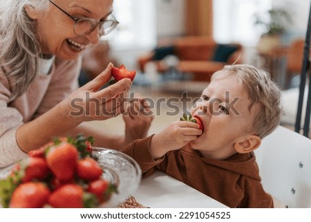 Grandmother giving homegrown strawberries to her little grandson. Royalty-Free Stock Photo #2291054525