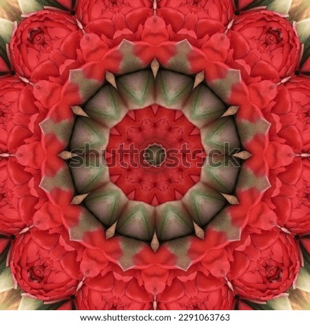 Wedding wreath. Red and yellow peony or roses flowers and petals. Floral kaleidoscope background, round mandala for meditation on yoga day. Summer solstice texture with repeating elements.