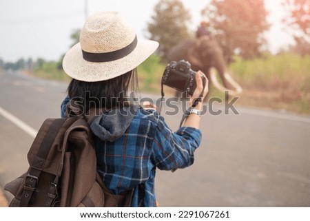 female traveler holding the camera for taking pictures. woman traveler with backpack holding hat and looking at amazing  watching elephants, wanderlust travel concept, atmospheric epic moment.