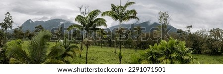 A panorama view of the cloud covered Arenal volcano on the outskirts of La Fortuna, Costa Rica in the dry season Royalty-Free Stock Photo #2291071501
