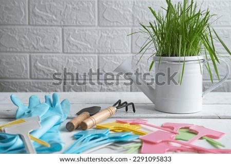 Colored garden tools and planting supplies. Magazine picture, greenery and gardening concept.