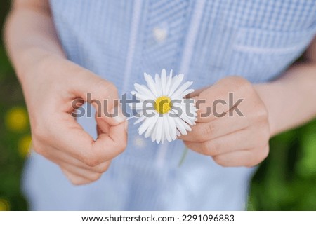Girl removing petal of chamomile flower.