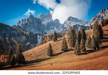 Incredible autumn view at highlands valley in Austrian Alps. Yellow and orange larches forest and rocky mountains peaks on background. Vivid nature scenery. Picture of wild area