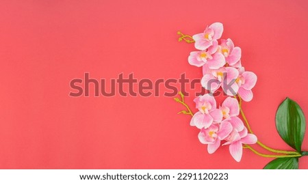 Orchid of pink color and branches with green leaves from above on red background.