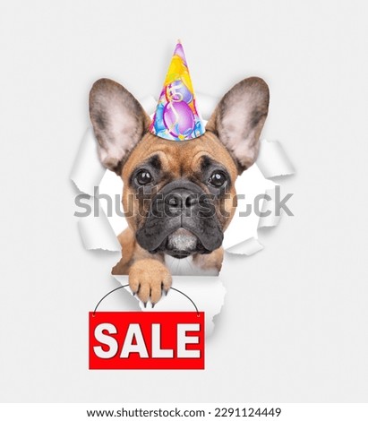 French bulldog puppy looking through the hole in white paper and shows signboard with labeled "sale"