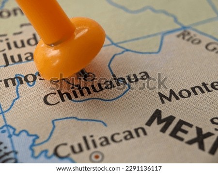 closeup picture of chihuahua highlighted in the world map