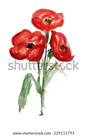 elegant watercolor red poppy flowers, design elements Royalty-Free Stock Photo #229115791
