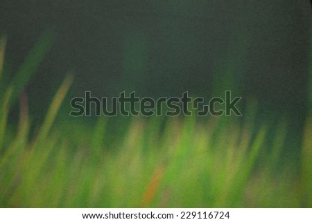 Green leaves blur background paper picture