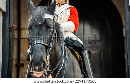 A horse carrying a Royal Horse Guard on sentry duty Royalty-Free Stock Photo #2291170163