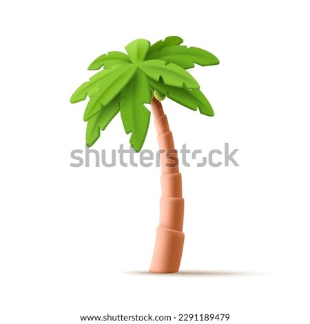 3d Vector Tropical palm cartoon illustration. Tropic jungle realistic plant isolated render on white.