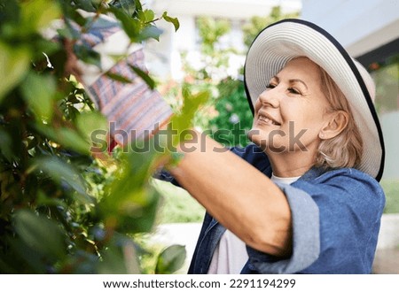 Ive got green fingers. a senior woman gardening in the backyard at home. Royalty-Free Stock Photo #2291194299