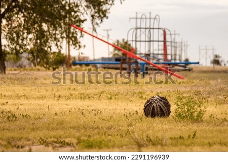 a Weathered and faded Basketball decaying in Overgrown Abandoned Park in Summer with seesaw in the background, cloudy skies, and yellow dead grass