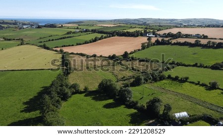 Agricultural landscape, summer. Grass fields and trees. Green grass field with trees