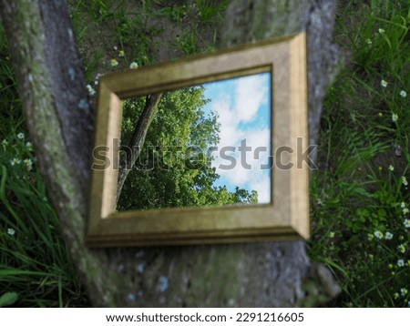 A mirror lies on a forest floor. Surrounded by wood. The blue sky with few clouds and trees with green leaves can be seen in the mirror.