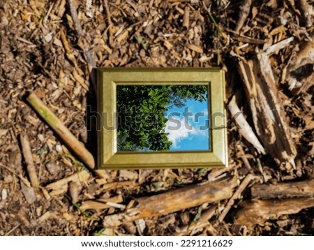 A mirror lies on a forest floor. Surrounded by wood. The blue sky with few clouds and trees with green leaves can be seen in the mirror.