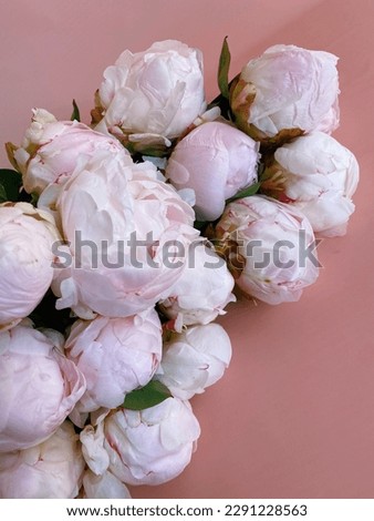 beautiful flowers rose peony ranunculus