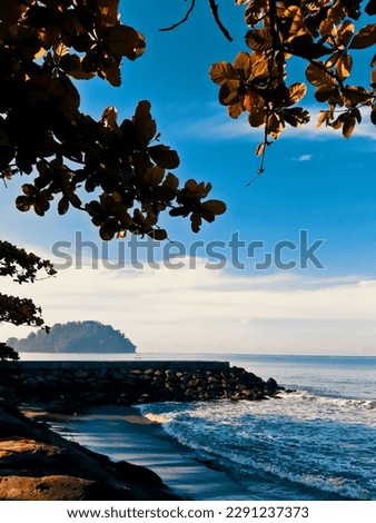A beautiful natural scenery of Beach with white shore against the sky and small hill with leaves in top of photo