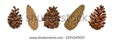 Fir or Pine Cones as Seed Plant Part Vector Set Royalty-Free Stock Photo #2291245925