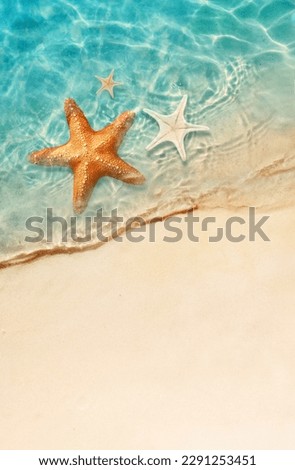 Starfish on the sand beach in clear sea water. Summer background. Summer time .Copy space. Relaxing on the beach. Royalty-Free Stock Photo #2291253451