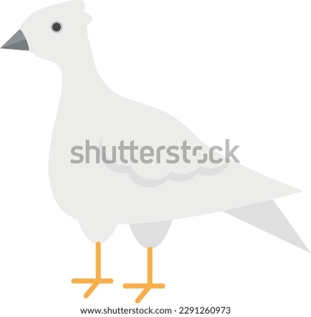 Vector illustration of a white dove.