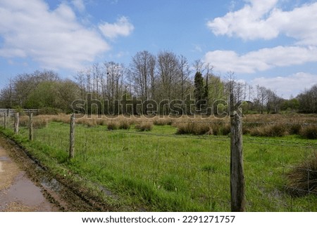 sunny day over countryside meadows in spring. lush green field landscape 