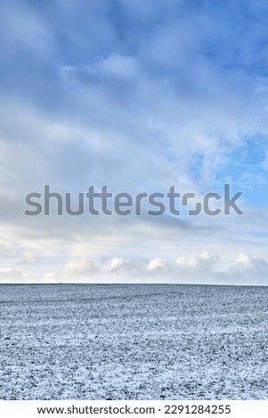 Danish winter landscape. A photo of a winter landscape at sunset.