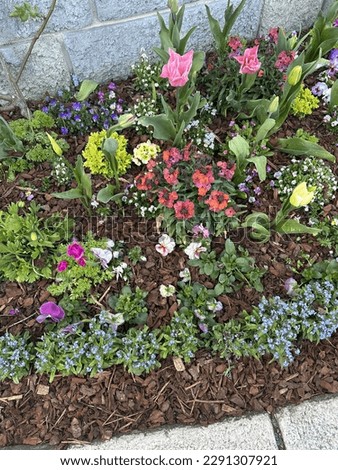 beautiful summer gardening floral display selective focus