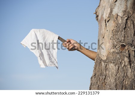 Arm and hand of person hiding behind tree holding white flag, cloth or handkerchief as sign for peace, resignation and negotiations, with blue sky as outdoor background and copy space. Royalty-Free Stock Photo #229131379