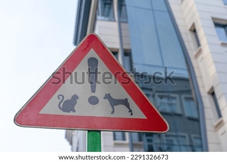 Road sign triangular red-white with the image of animals cats and dogs. Original forbidding sign for tourists istanbul. Banner protecting street stray animals on the background of the building