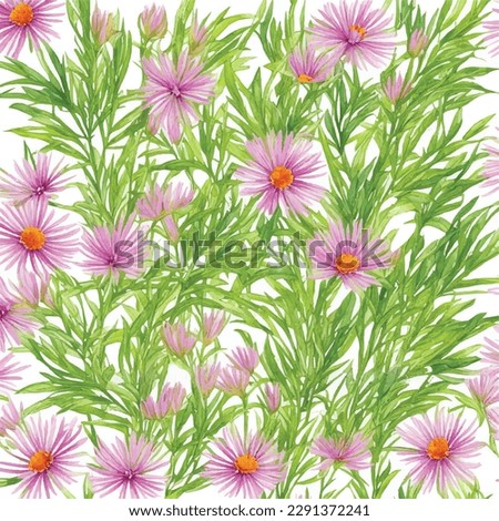 Seamless pattern aster flowers watercolor illustration art with white background