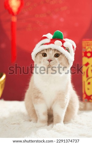Pets in Chinese New Year themed picture, pets in clothes, red festive theme, closeup(Translation: The word "福" means auspiciousness and blessing) Royalty-Free Stock Photo #2291374737