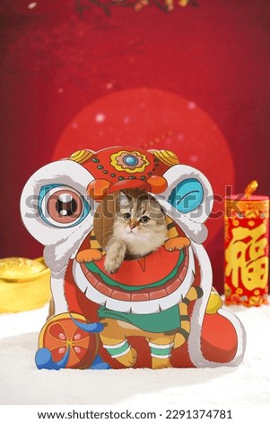 Pets in Chinese New Year themed picture, pets in clothes, red festive theme, closeup(Translation: The word "福" means auspiciousness and blessing)