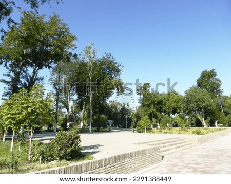 Green landscape in the park for recreation