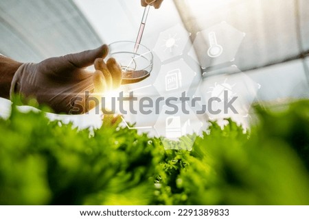 laboratory, research, science, biotechnology, biology, scientist, chemistry, eco, biochemistry, chemical. researcher of hands take a test tube and dropper biotechnology chemistry eco chemical. Royalty-Free Stock Photo #2291389833