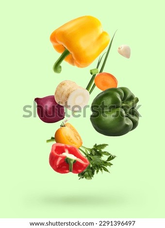 Spice mix for cooking. Set of falling fresh vegetables and herbs on light green background