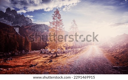 View on road in autumn forest, mountains on background. Wonderful nature landscape. Amazing natural Background. Popular travel destination. Filzmoos, Salzburg, Austria. Picture of Wild Area
