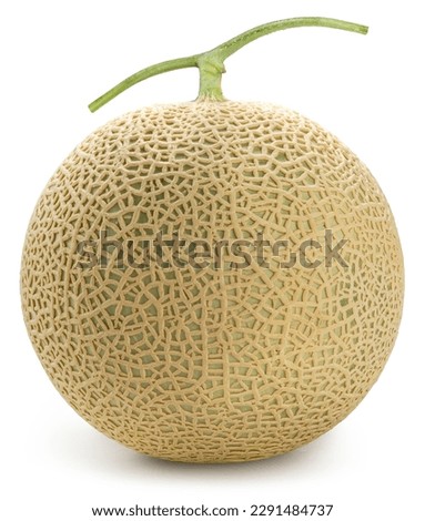 Crown Musk Melon isolated on white background, Shizuoka Crown Melon or cantaloupe isolated on white background With clipping path. Royalty-Free Stock Photo #2291484737