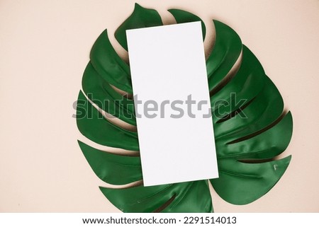 white paper mockup on a monstera leaf with a cream background.