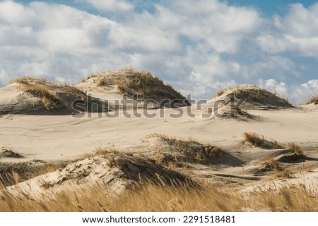 sand dunes, March 2023, Curonian Spit, Russia Royalty-Free Stock Photo #2291518481