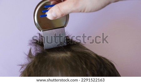 Lice comb and brunette hair on a violet background with copy space. Man using nit comb on childs hair