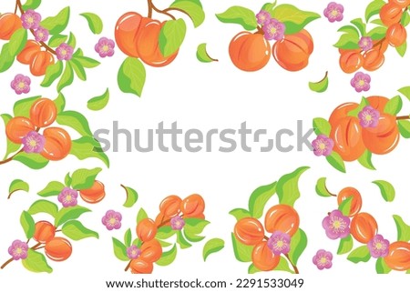 Frame made of branches with apricots on white background