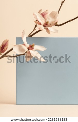 Flowers composition. A magnolia branch on a beige background and a blue frame. Beauty, cosmetic concept mock up. Exhibition Podium, stand, showcase on pastel light background for premium product 
