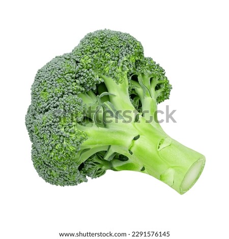 Perfect fresh broccoli cabbage isolated on a white background. Stock photography