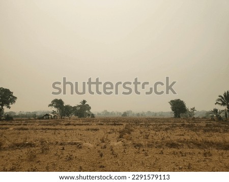 Imagination, the image of a barren rice field, the media see many animals in the picture. Similar to an outdoor zoo, sheep, lions, tigers,  trees, dust, PM 2.5 and the concept of nature conservation.